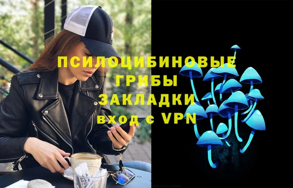 не бодяженный Семёнов