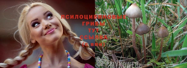 не бодяженный Семёнов