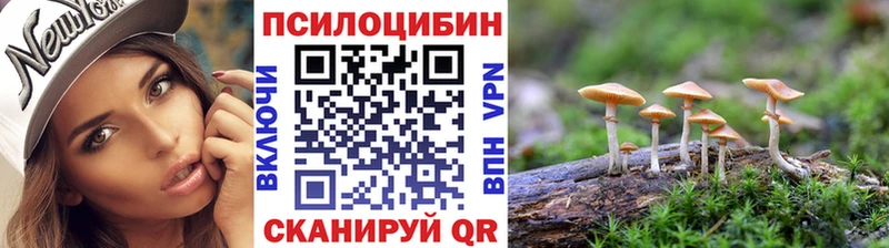 Псилоцибиновые грибы MAGIC MUSHROOMS  Цоци-Юрт 