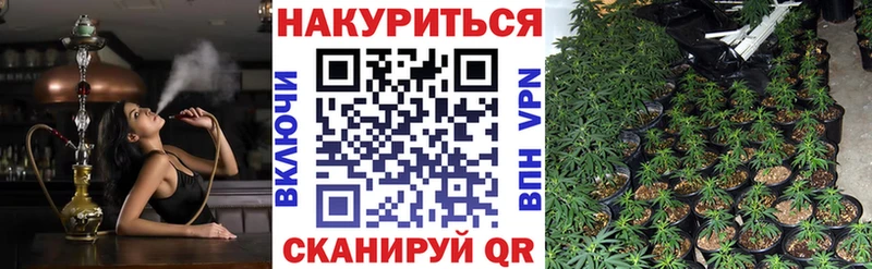 Каннабис White Widow Цоци-Юрт